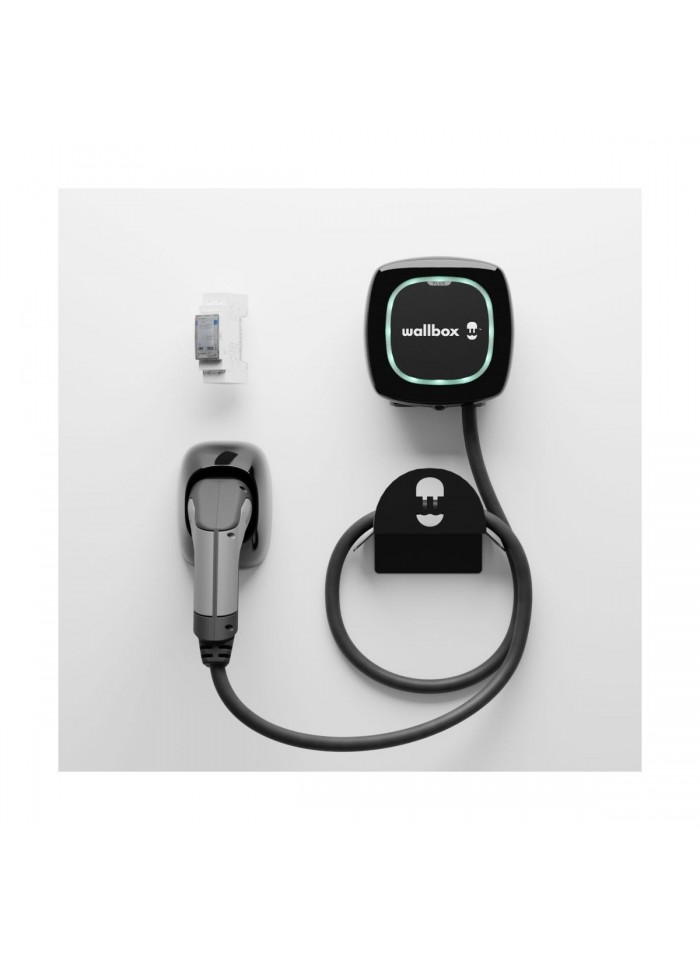 Kit de recharge pour véhicule électrique: panneau + borne