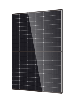 DMEGC Panneau solaire 425Wc Monocristallin Module N-TYPE Bi-verre Transparent - DM425M10T-B54-HBT