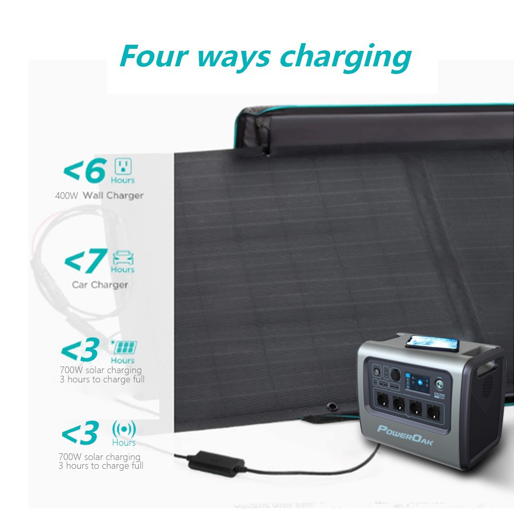 Chargeur de batterie pour véhicule électrique : Série 85 W