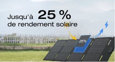 Panneau solaire pliable 45W Ecoflow 